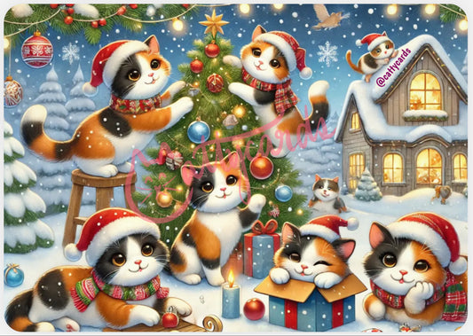 Catty Snowy Xmas