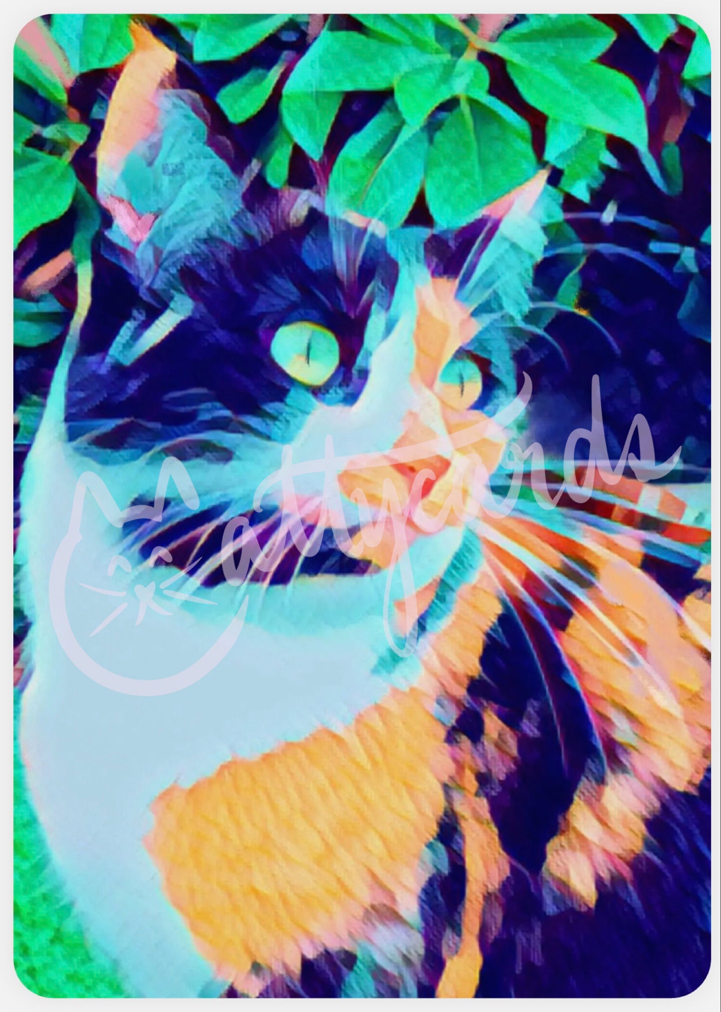Mishka